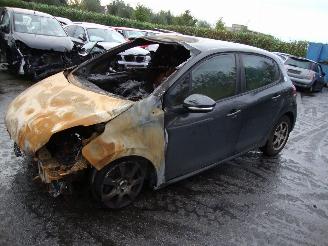 škoda osobní automobily Peugeot 208  2013/1