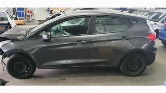 Voiture accidenté Ford Fiesta Fiesta 7, Hatchback, 2017 / 2023 1.0 EcoBoost 12V 100 2019/10