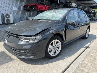 škoda osobní automobily Volkswagen Golf VIII 1.5 TSI 2022/1
