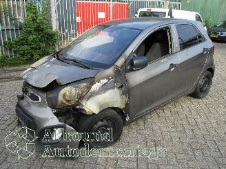 demontáž osobní automobily Kia Picanto Picanto (TA) Hatchback 1.0 12V (G3LA) [51kW]  (05-2011/06-2017) 2012/3